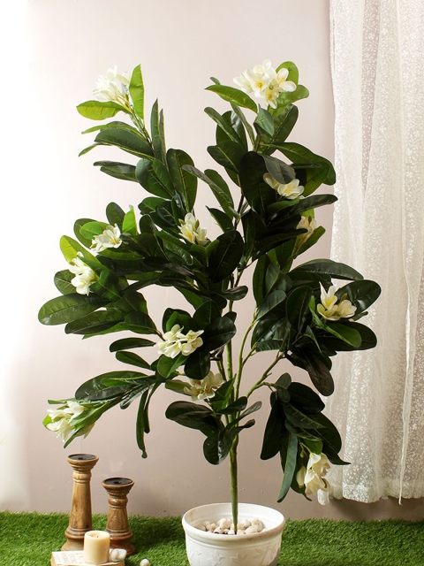 TAMIRHA Green & White Artificial Frangipani Plant With White Pot