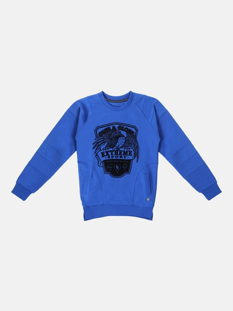 

Lil Tomatoes Boys Blue Printed Sweatshirt
