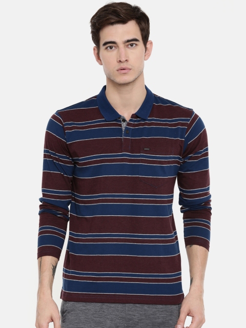 Proline Men Teal Blue & Brown Striped Polo Collar T-shirt