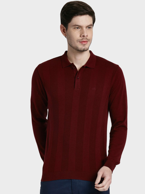 

ColorPlus Men Maroon Striped Polo Collar T-shirt
