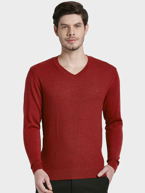 

ColorPlus Men Red Solid Sweater