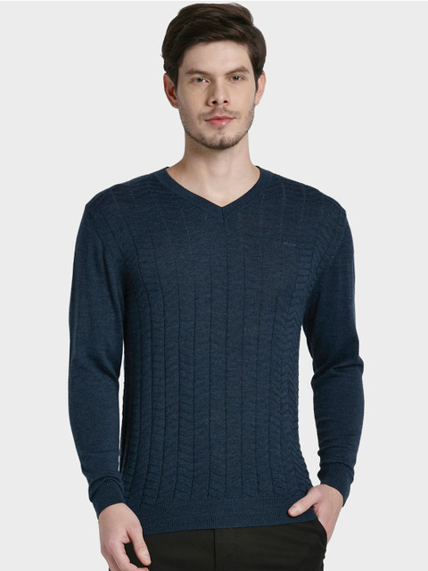 

ColorPlus Men Blue Solid Sweater