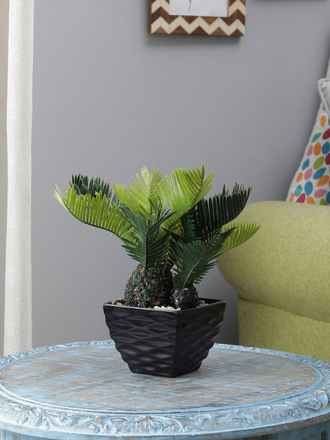

FOLIYAJ Green Sago Palm With Black Pyramid Shape Pot