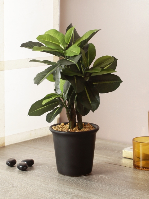 

TAYHAA Green & Black Artificial Bonsai Plant With Pot