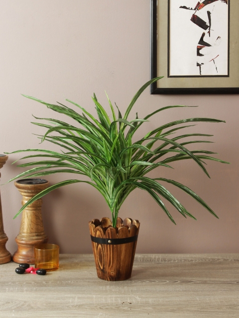 TAYHAA Green & Brown Spider Bush Artificial Plant With Pot