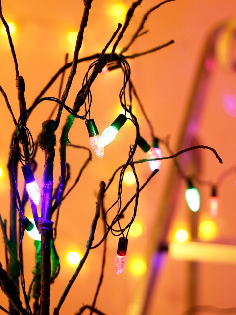 

TAYHAA Set of 3 LED Multicoloured Textured Handcrafted Gleaming Rice String Lights, Multi