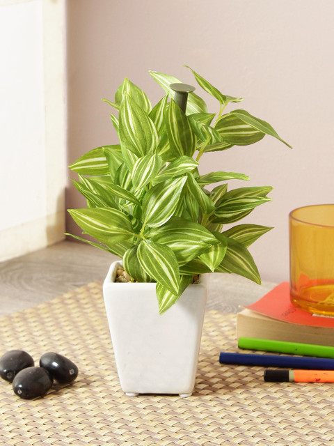 

TAYHAA Green & White Artificial Beautiful Indoor Bonsai Plant With Pot