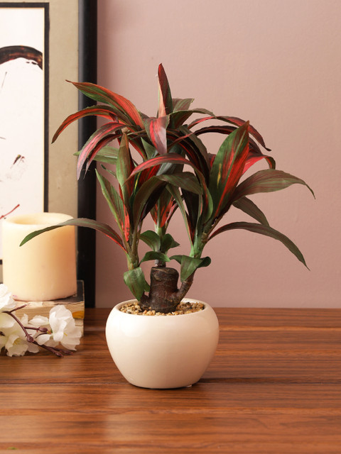 

TAYHAA Green & White Dracaena Bonsai Artificial Plant With Pot