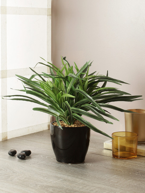 

TAYHAA Green & Black Artificial Quaint Yucca Bonsai Plant With Pot