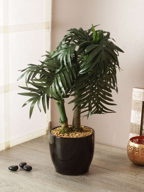 

TAYHAA Green & Black Artificial Palm Bonsai Plants With Pot