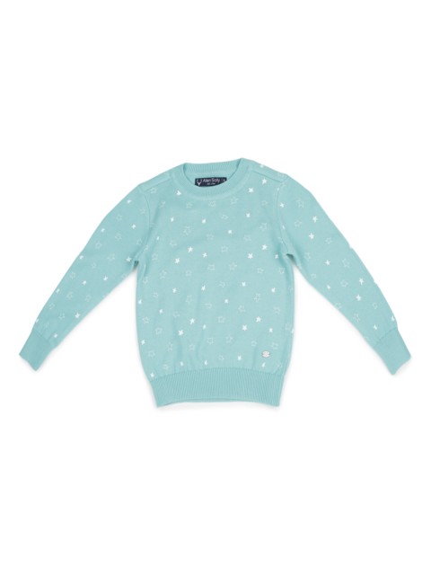 

Allen Solly Junior Girls Blue Printed Pullover Sweater