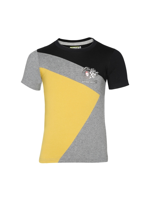 

HELLCAT Boys Yellow & Grey Colourblocked Round Neck T-shirt