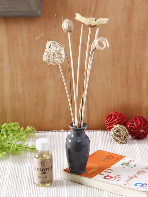 

HOSLEY Multicoloured Eucalyptus Mint Reed Diffuser 60ml, Multi