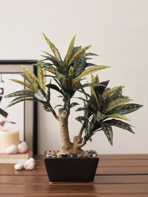 

TAYHAA Green & Black Artificial Dracenea House Plant