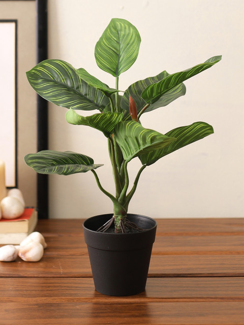 

TAYHAA Green & Black Artificial House Plant with Pot