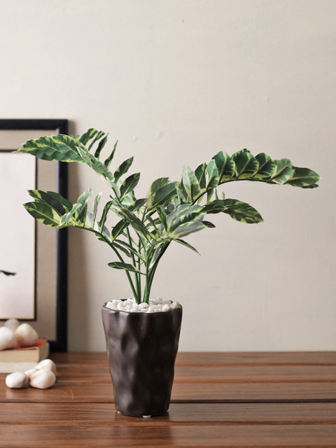 

TAYHAA Green Verdant and Leafy House Artificial Sasaya Plant