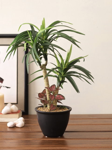 

TAYHAA Green & Black Artificial Yucca Home Plant