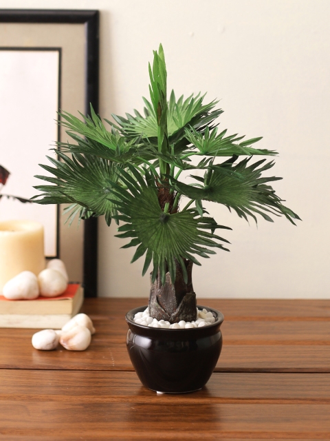 

TAYHAA Green & Black Artificial Palm Tree House Plant