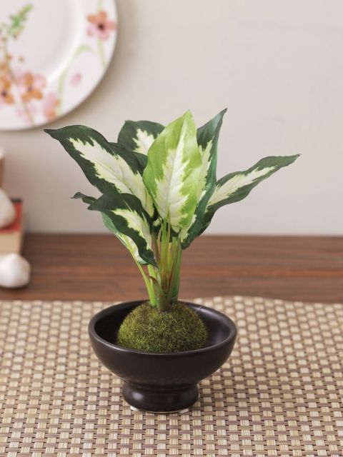 

TAYHAA Green & Black Artificial House Plant with Aesthetic Pot
