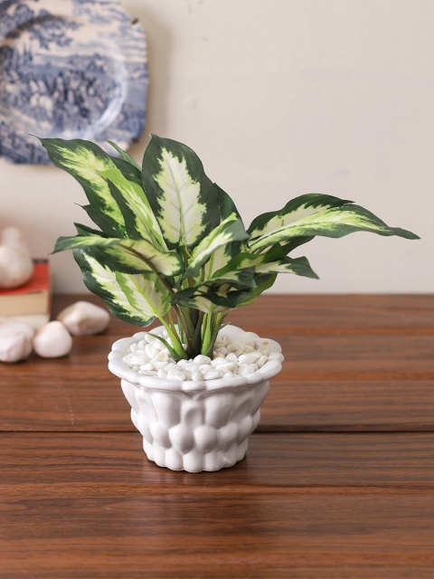 

TAYHAA Green & White Artificial Variegated Plant With Pot