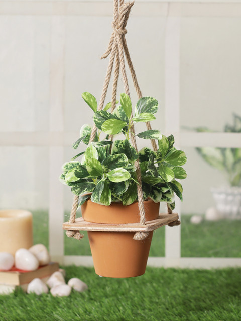 

TAYHAA Yellow & Brown Artificial Plant With Hanging Pot, Green