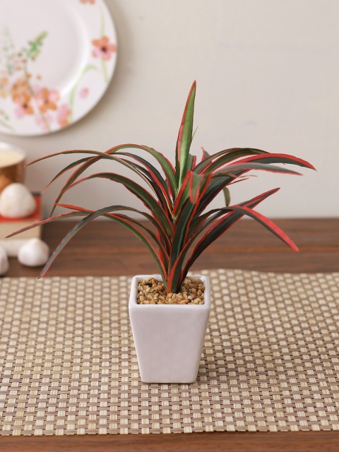 

TAYHAA Red & White Vibrant Artificial Yucca Plant, Green