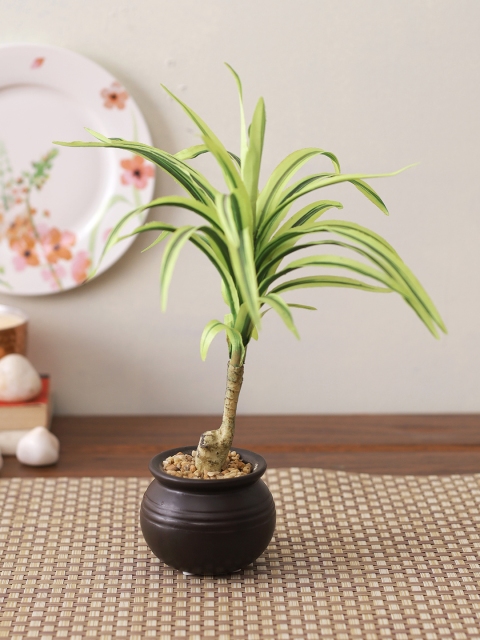 

TAYHAA Green & Yellow Artificial Yucca Plant