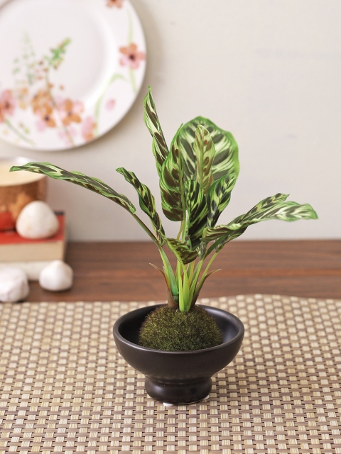 

TAYHAA Green & Black House Artificial Plant with Aesthetic Pot