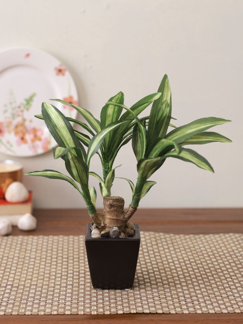 

TAYHAA Green & Black Artificial Dracenea House Plant