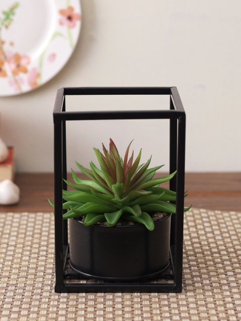 

TAYHAA Green & Black Artificial Succulent Plant with Pot in a Box