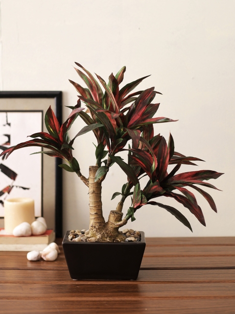 

TAYHAA Red & Black Cute and Petite Artificial Dracenea Plant