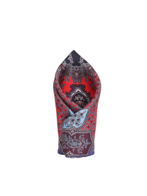

Alvaro Castagnino Red & Navy Blue Printed Silk Pocket Square
