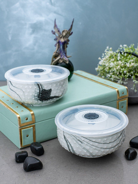 

White Gold Set of 2 Off-White & Grey Airtight Bowl with Plastic Lid Set