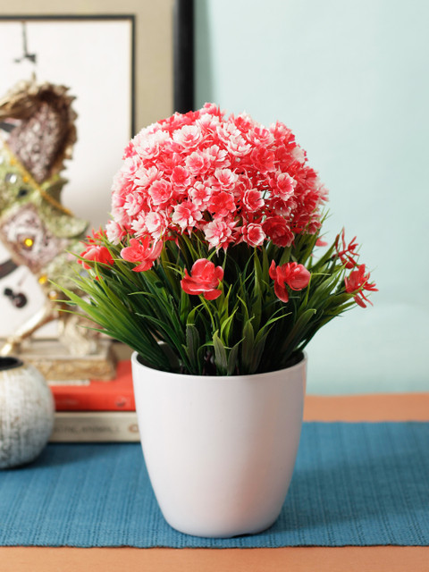 

Aesthetic Home Solutions Pink & Green Plant With White Pot