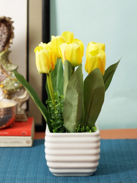 

Aesthetic Home Solutions Yellow & Green Tulip With White Pot