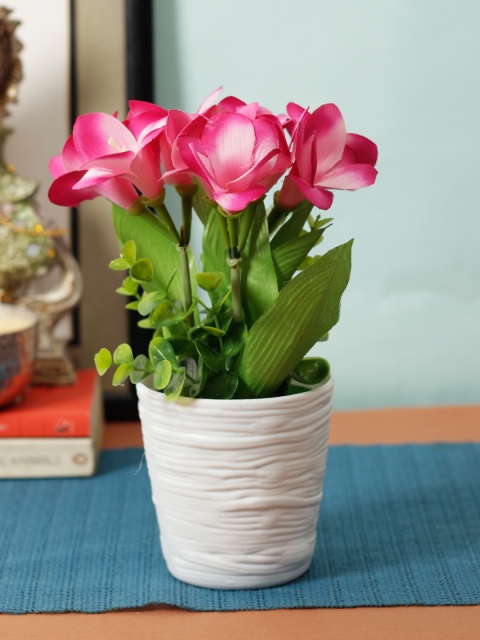 

Aesthetic Home Solutions Pink & Green Exotic Orchid plant With White Pot