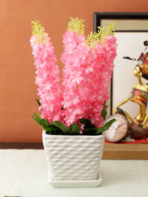 

Aesthetic Home Solutions Pink & Green Hyacinth With White Pot