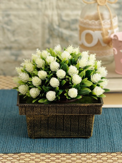

TIED RIBBONS Green & Black Artificial Plant With Pot, White