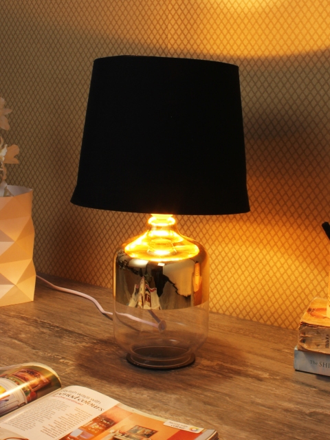 

House Of Accessories Black & Gold-Toned Solid Bedside Standard Lamp