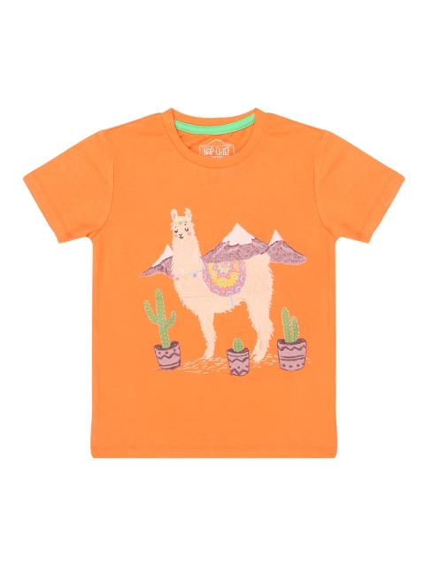 

Nap Chief Kids Orange Printed Round Neck T-shirt