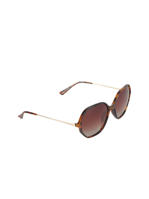 Daniel Klein Women Brown Oval Sunglasses