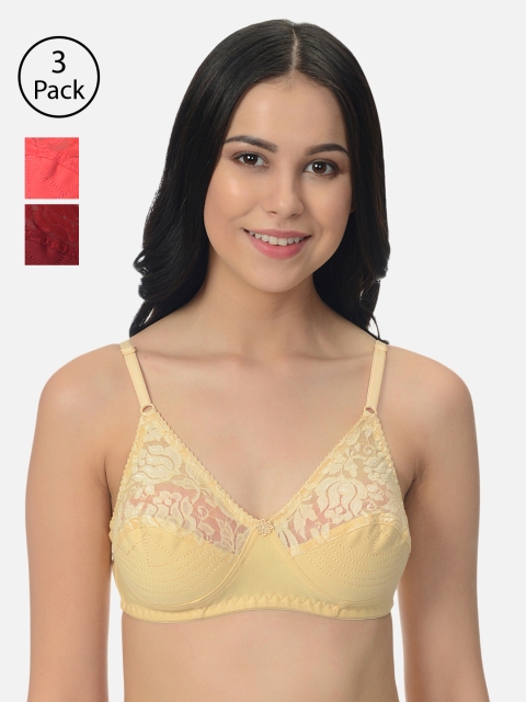 

mod & shy Pack of 3 Assorted Lace Non-Wired Non Padded Everyday Bras MS515254
