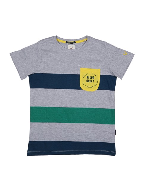 

Allen Solly Junior Boys Grey Striped Round Neck T-shirt