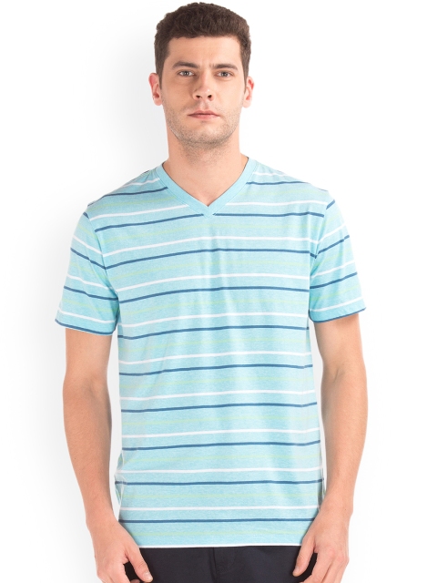 

GAP Men Blue & White Striped V-Neck T-shirt