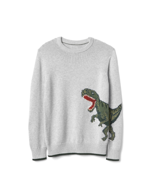 

GAP Boys Grey Printed Sweater