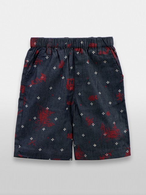

LilPicks Boys Blue Printed Regular Fit Regular Shorts