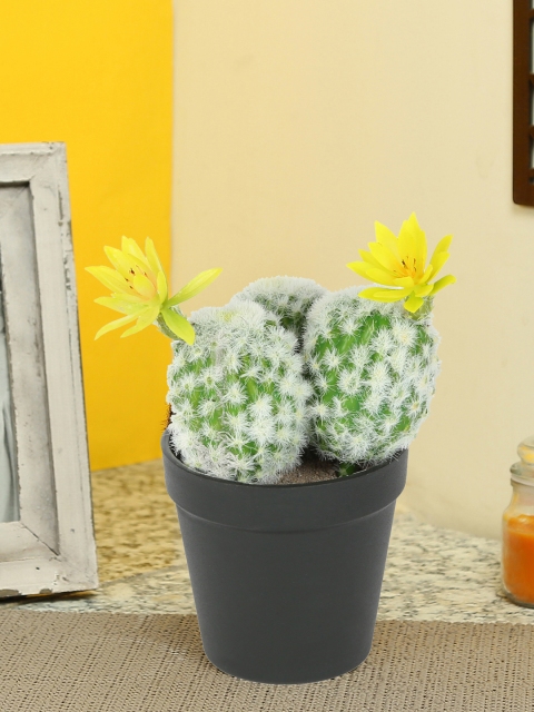 

Aapno Rajasthan Green & White Plastic Artificial Plant with Pot