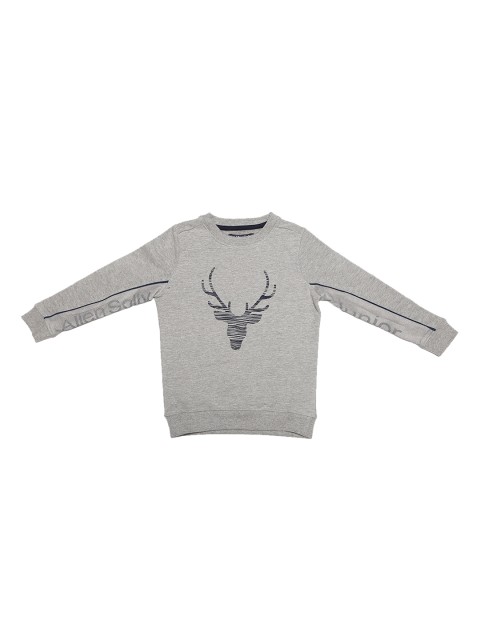 

Allen Solly Junior Boys Grey Printed Sweatshirt