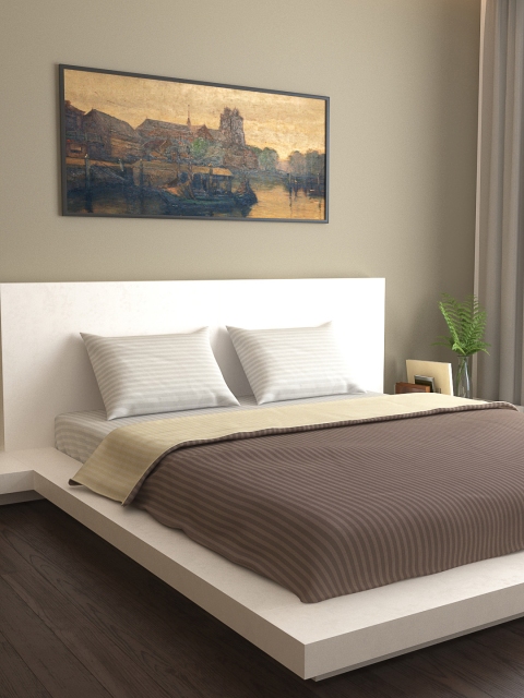 

MARK HOME Cream-Coloured & Brown Striped AC Room 210 GSM Double Bed Dohar