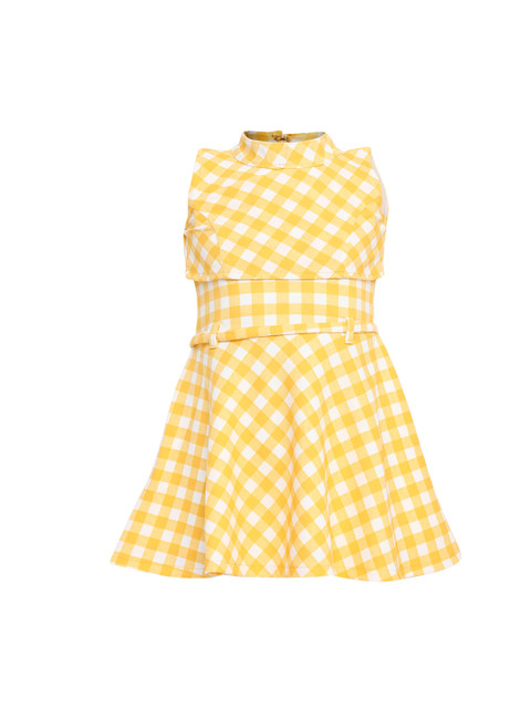 

Aarika Girls Yellow Checked Fit and Flare Dress